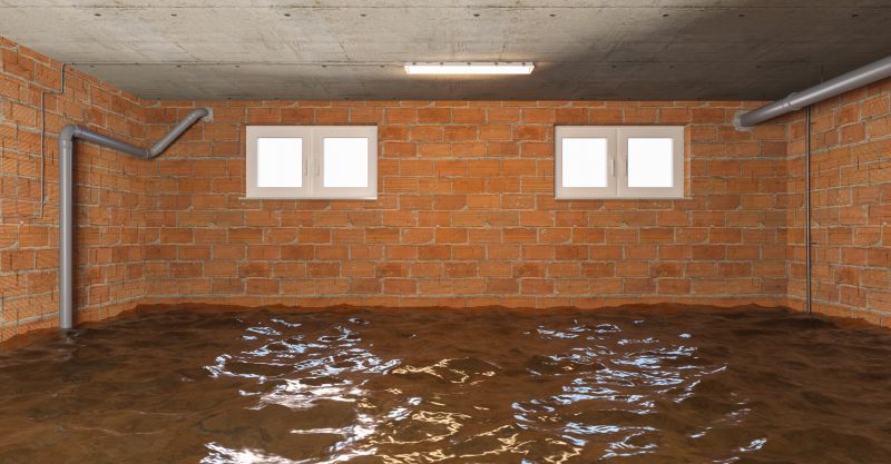 Basement Restoration Service in Chandler, AZ