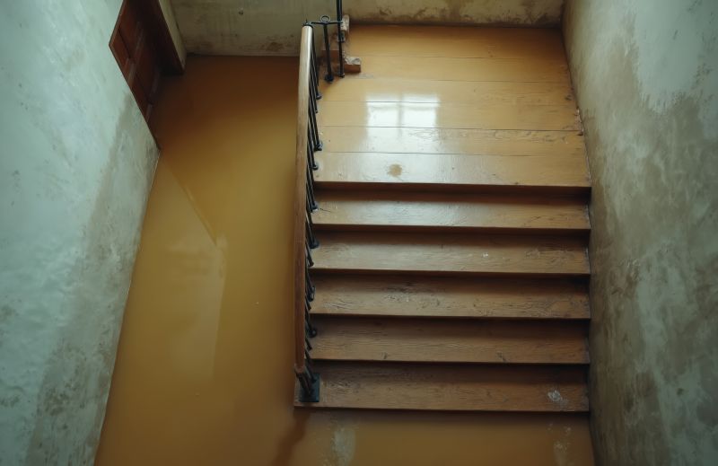 Crawlspace Water Cleanup in Chandler, AZ