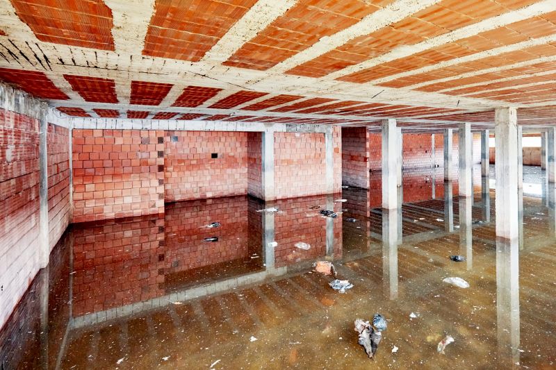 Flood Damage Cleanup in Chandler, AZ