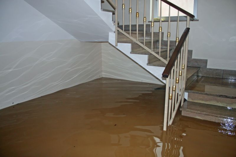 Flooded Basement Cleanup in Scottsdale, AZ