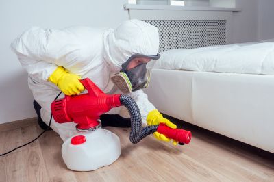 Smoke Odor Removal Service