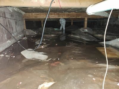 Storm Damage Cleanup in Chandler, AZ