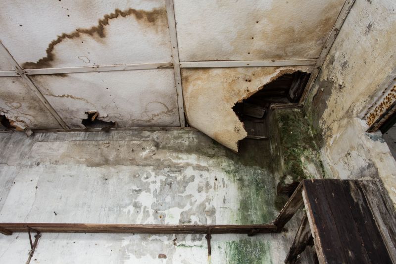 Water Damage Mitigation in Gilbert, AZ